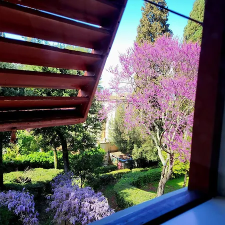 Villa Nardi - Residenza D'Epoca-2